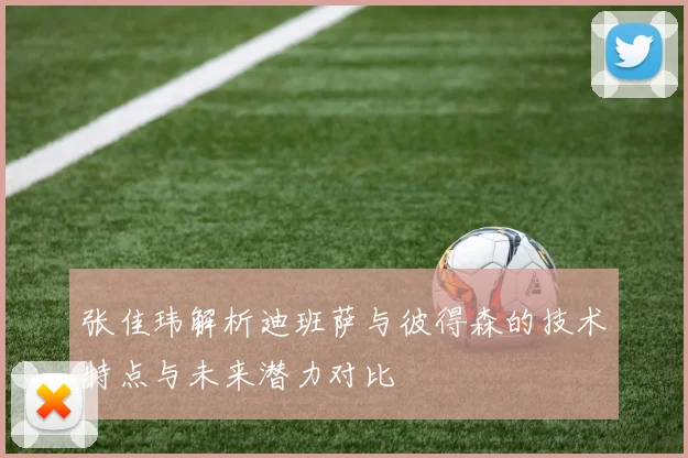 张佳玮解析迪班萨与彼得森的技术特点与未来潜力对比