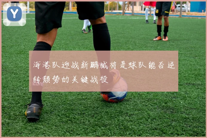 海港队迎战新鹏城将是球队能否逆转颓势的关键战役