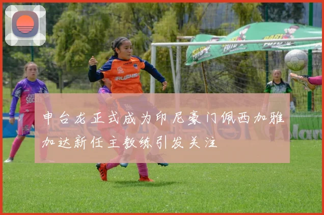 申台龙正式成为印尼豪门佩西加雅加达新任主教练引发关注