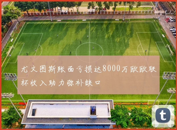 尤文图斯账面亏损达8000万欧欧联杯收入助力弥补缺口