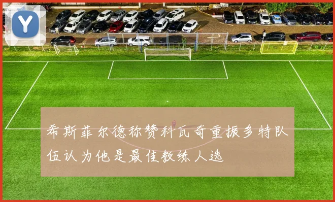 希斯菲尔德称赞科瓦奇重振多特队伍认为他是最佳教练人选